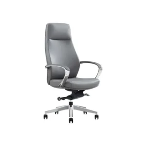 Ergonomic Office Chair