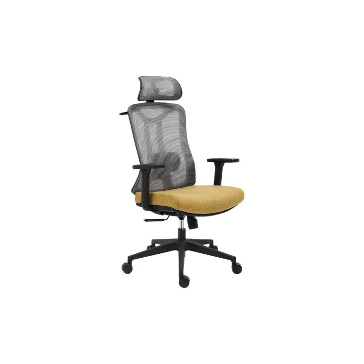 Ergonomic Chairs with Yellow Cushion
