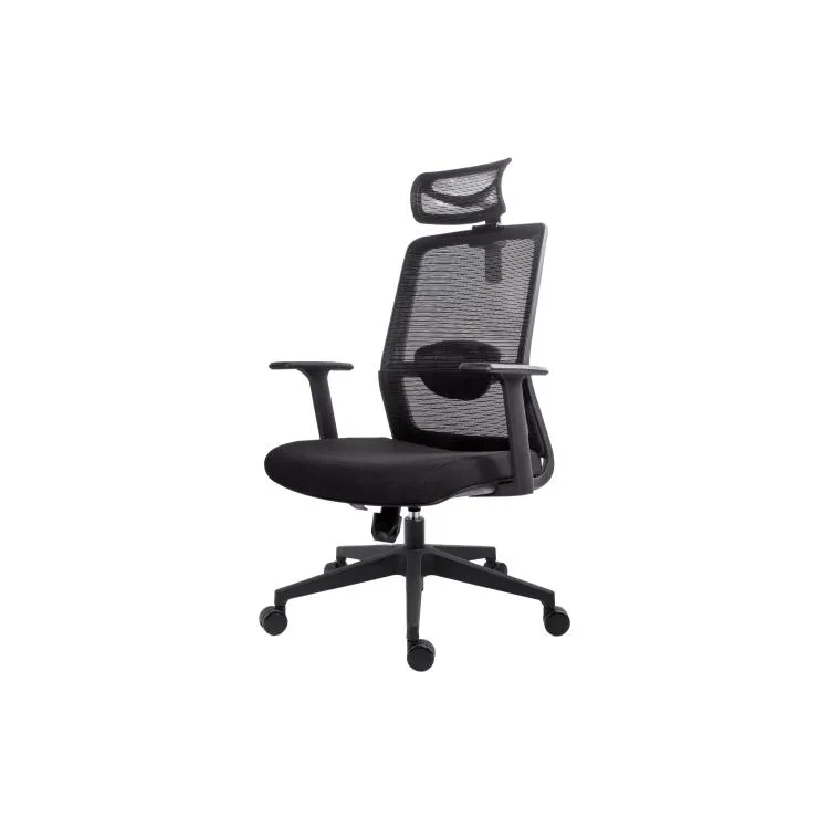 Adjustable Computer Chair